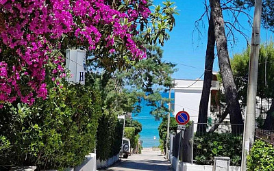 Hotel Garden *** s plnou penzí - San Menaio