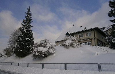 Hotel Haus Franziskus*** s polopenzí - Mariazell