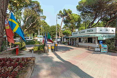 Camping Village Pineta Family *** - Milano Marittima