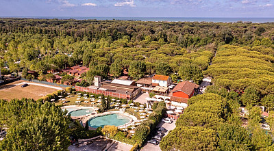 Viareggio Family Collection *** - Viareggio