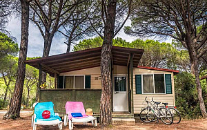 Camping Village Cieloverde **** - Marina di Grosseto