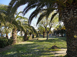 Hotel Altamira ** s plnou penziou - Roseto degli Abruzzi