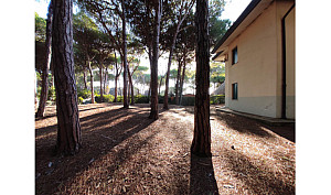 Apartmány Villa Albina - Eraclea Mare