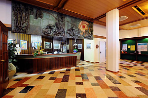 Hotel Palme & Royal Suite*** s polpenziou - Garda