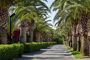 Villaggio Lido D'Abruzzo ****  - Roseto degli Abruzzi