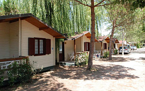 Camping Village Paradiso  - Viareggio