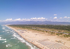Viareggio Family Collection *** - Viareggio