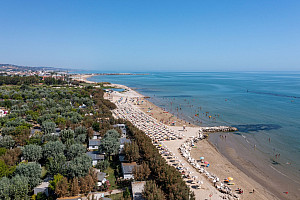 Stork Family Collection**** - Roseto degli Abruzzi