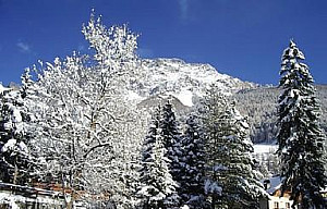 Hotel Meuble Sci Sport **- Bormio