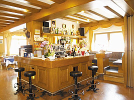 Hotel Aida** s polpenziou - Pozza di Fassa